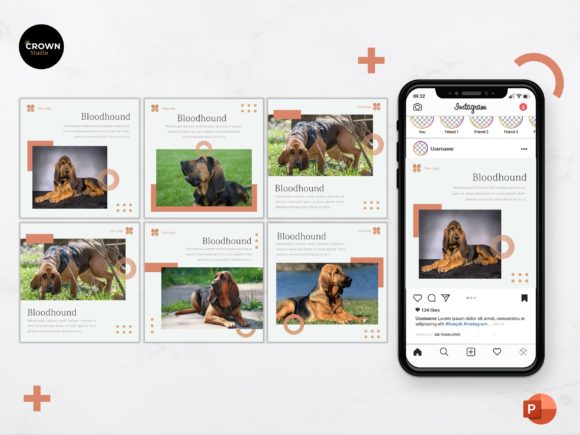 Download Instagram Feed Template -  Bloodhound - Insta Collection