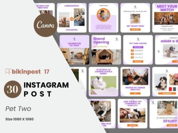 Download Pet Two Canva Instagram Post Template - Insta Collection